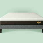 Nolah Evolution 15″